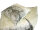 Musselin-Bettwäsche bedruckt Kissenbezug 80x80 cm